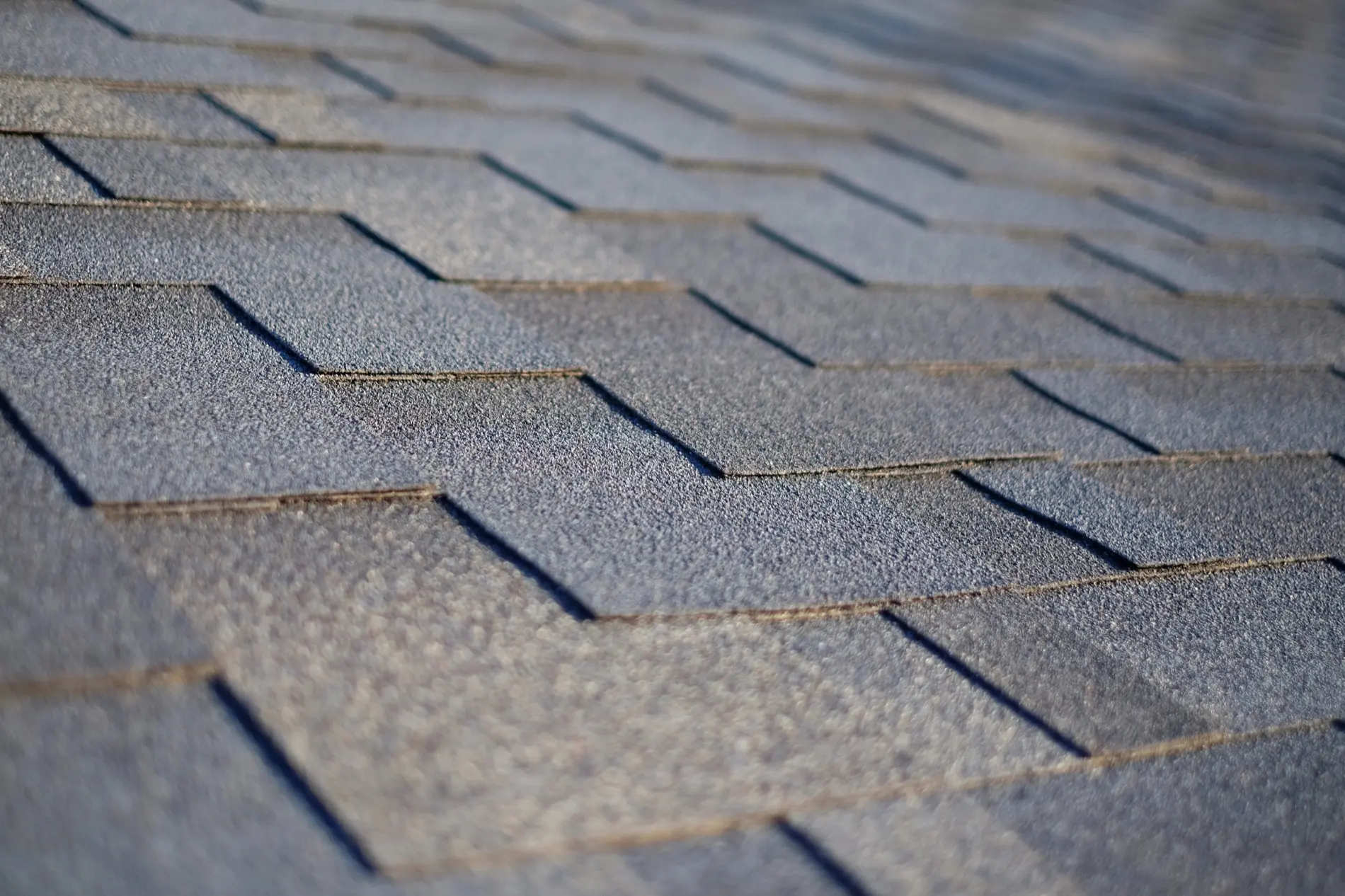 Spring Maintenance Tips - CRC Roofing & Renovations