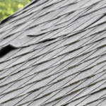 How Humidity Affects Your Roof (and What You Can Do About It)