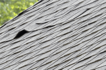 How Humidity Affects Your Roof (and What You Can Do About It)