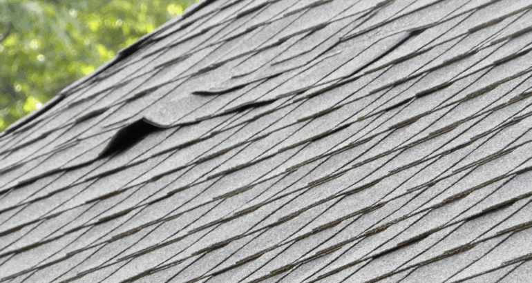 How Humidity Affects Your Roof (and What You Can Do About It)